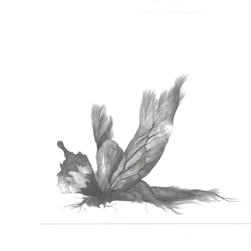 Picture of the author